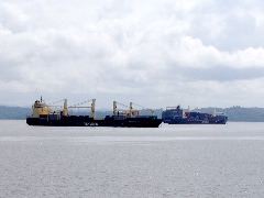 Gatun Lake2