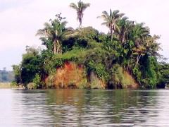 Gatun Lake 6