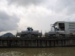 "Mules" in Miraflores Locks