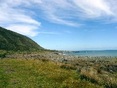 Turakirae Head 2