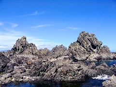Turakirae Head 14