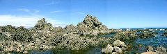 Turakirae Head 15