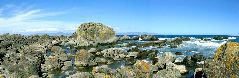 Turakirae Head 16