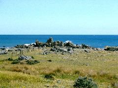 Turakirae Head 3