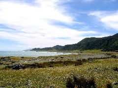 Turakirae Head 4-Terraces