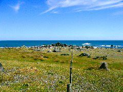 Turakirae Head 5