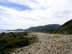 Turakirae Head 7-Raised beach ridge 1855 earthquake
