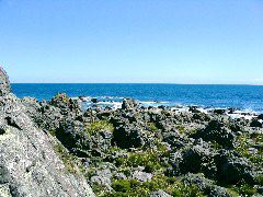 Turakirae Head 10