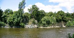 Wallington fault Hutt River