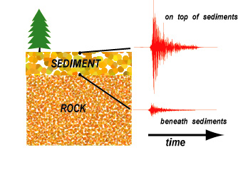 cartoon of sediment amplification