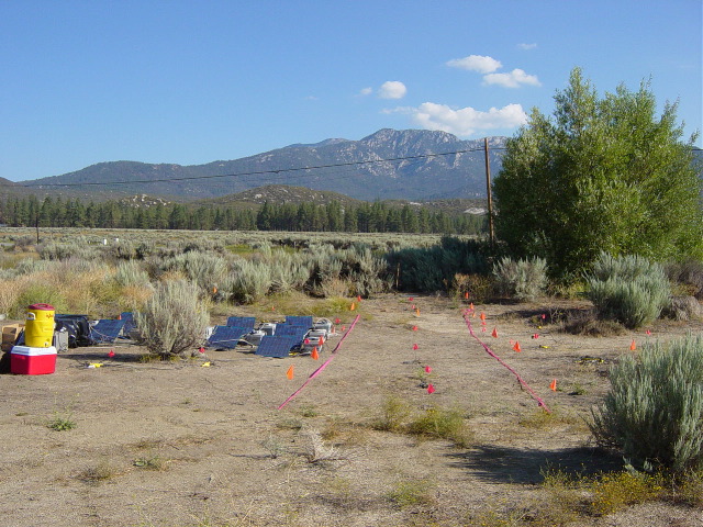 K2 array and TRex runway