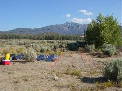 K2 array and TRex runway