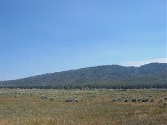 Valley floor